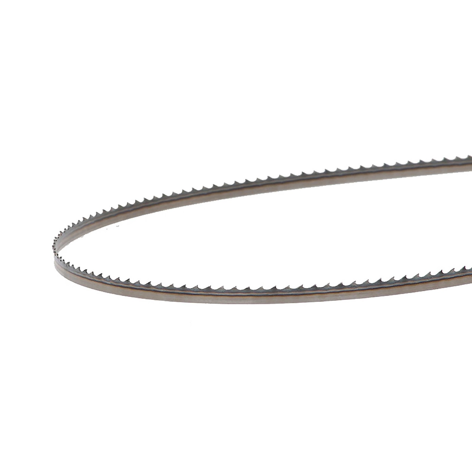 Timber Wolf – Band Saw Blade – 116″ x 1/4″ x 6 TPI x .025″